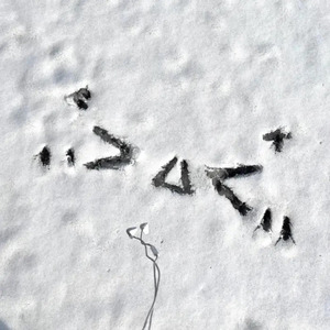 日本兽交×××xx
